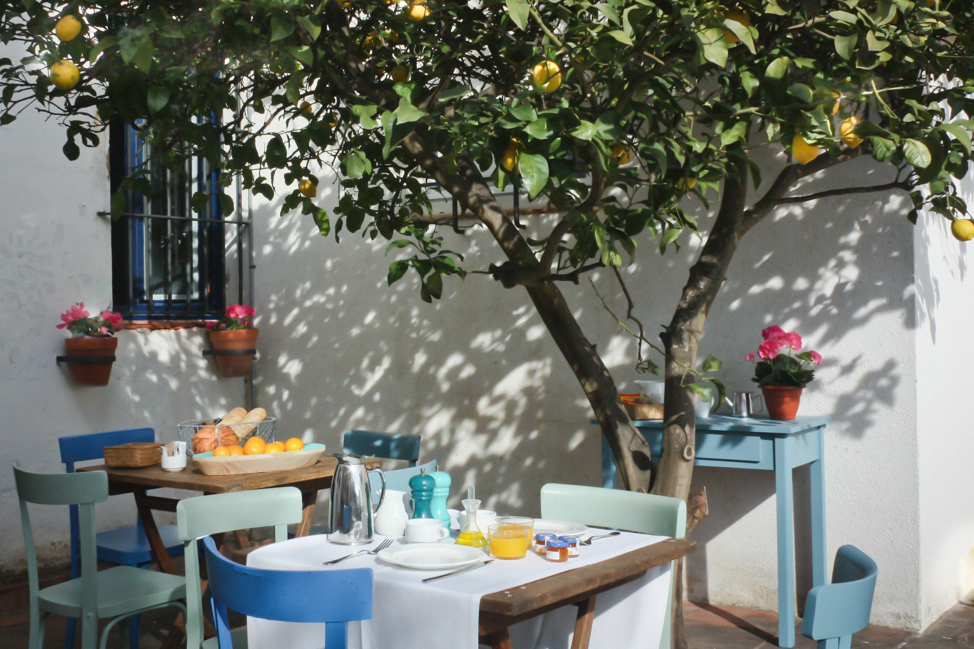 Hotel Casa Calella Calella De Palafrugell Kültér fotó